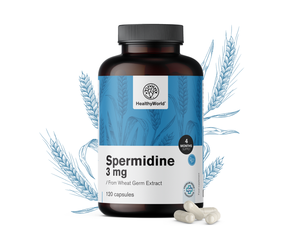 Spermidin 3 mg – aus Weizenkeimextrakt