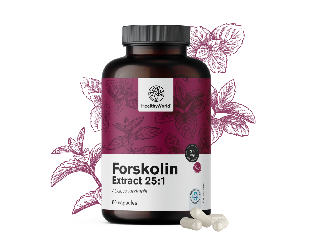 Forskolin – Extrakt aus Indischer Buntnessel 20 mg