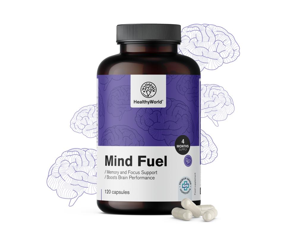 Mind Fuel – Gedächtnis und Konzentration