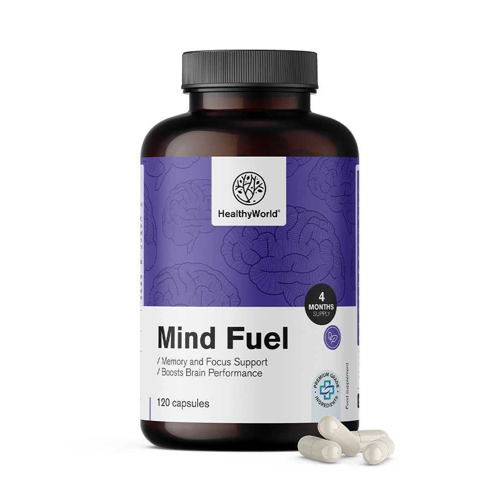 Mind Fuel - Gedächtnis und Konzentration.
