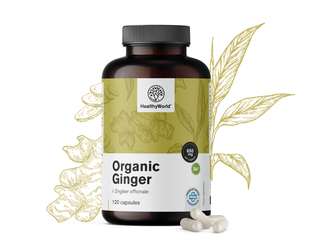 BIO Ingwer 650&nbsp;mg
