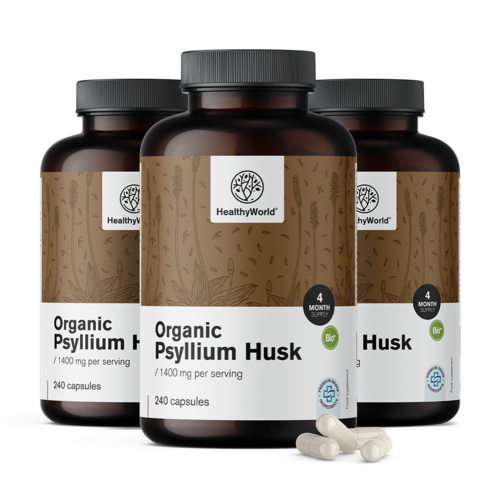 3x BIO Flohsamenschalen (Indischer Wegerich) 1400 mg, zusammen 720 Kapseln