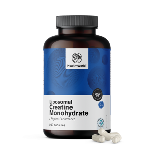 Liposomales Kreatinmonohydrat 3000 mg, 240 Kapseln