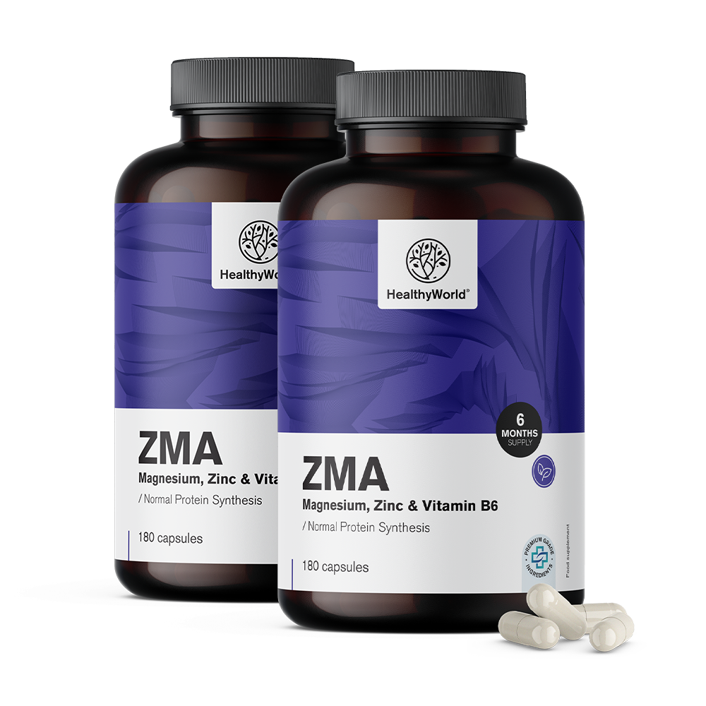ZMA – Magnesium, Zink und B6
