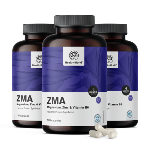 3x ZMA – Magnesium, Zink und B6, zusammen 540 Kapseln
