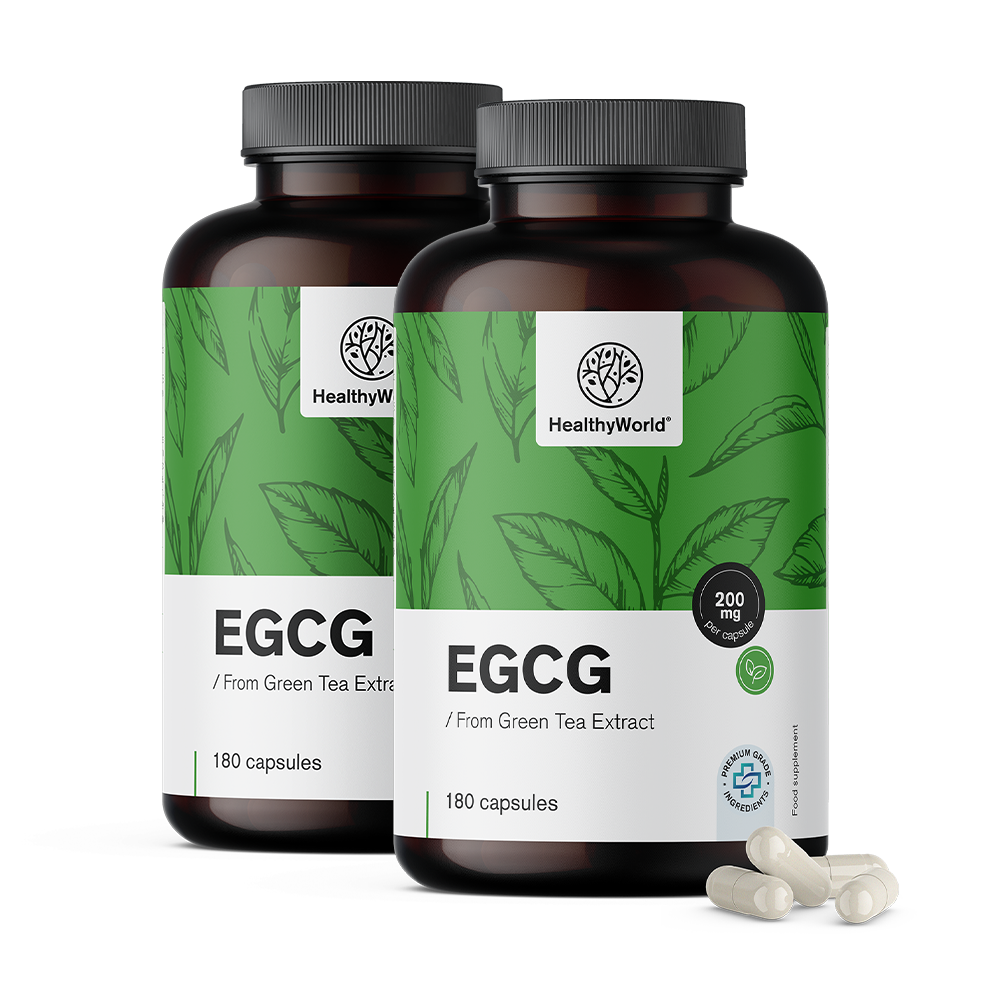 EGCG – aus Grüntee-Extrakt