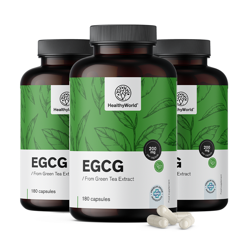 EGCG – aus Grüntee-Extrakt